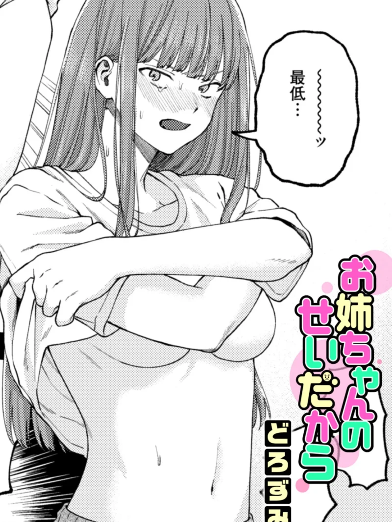 お姉ちゃんのせいだから レビュー｜どろずみ作品の評価と近親相姦ジャンル考察