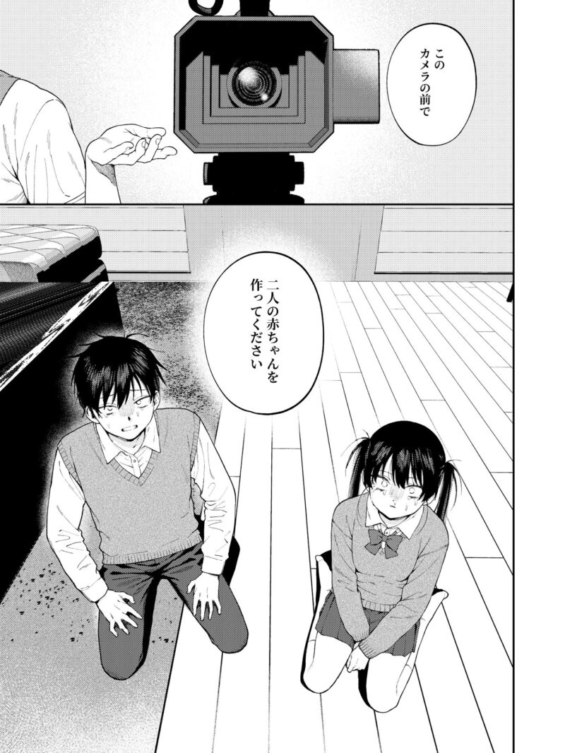 sample 5