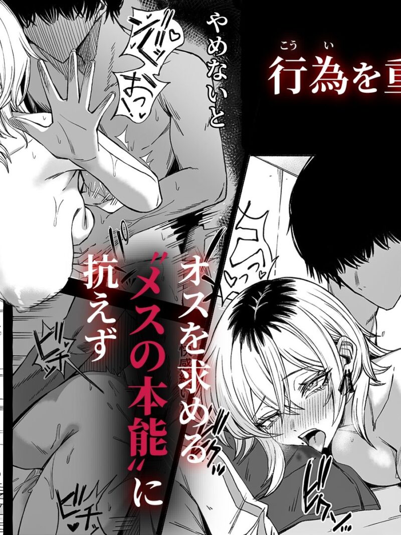 sample 7