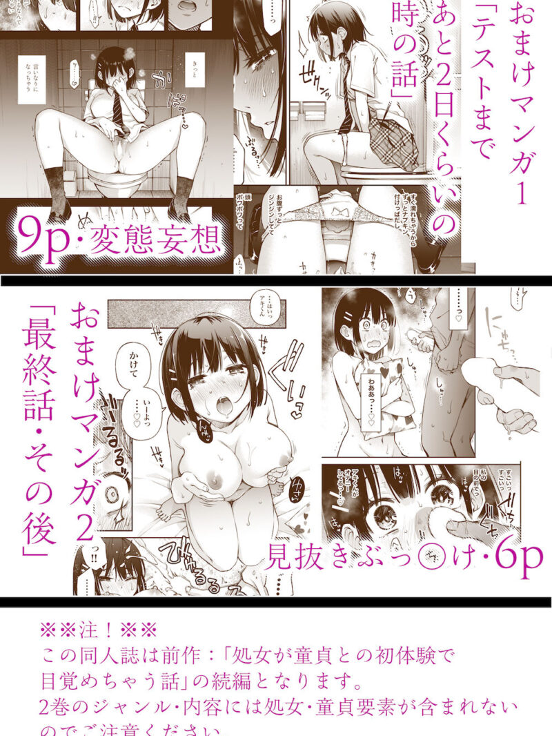 sample 11