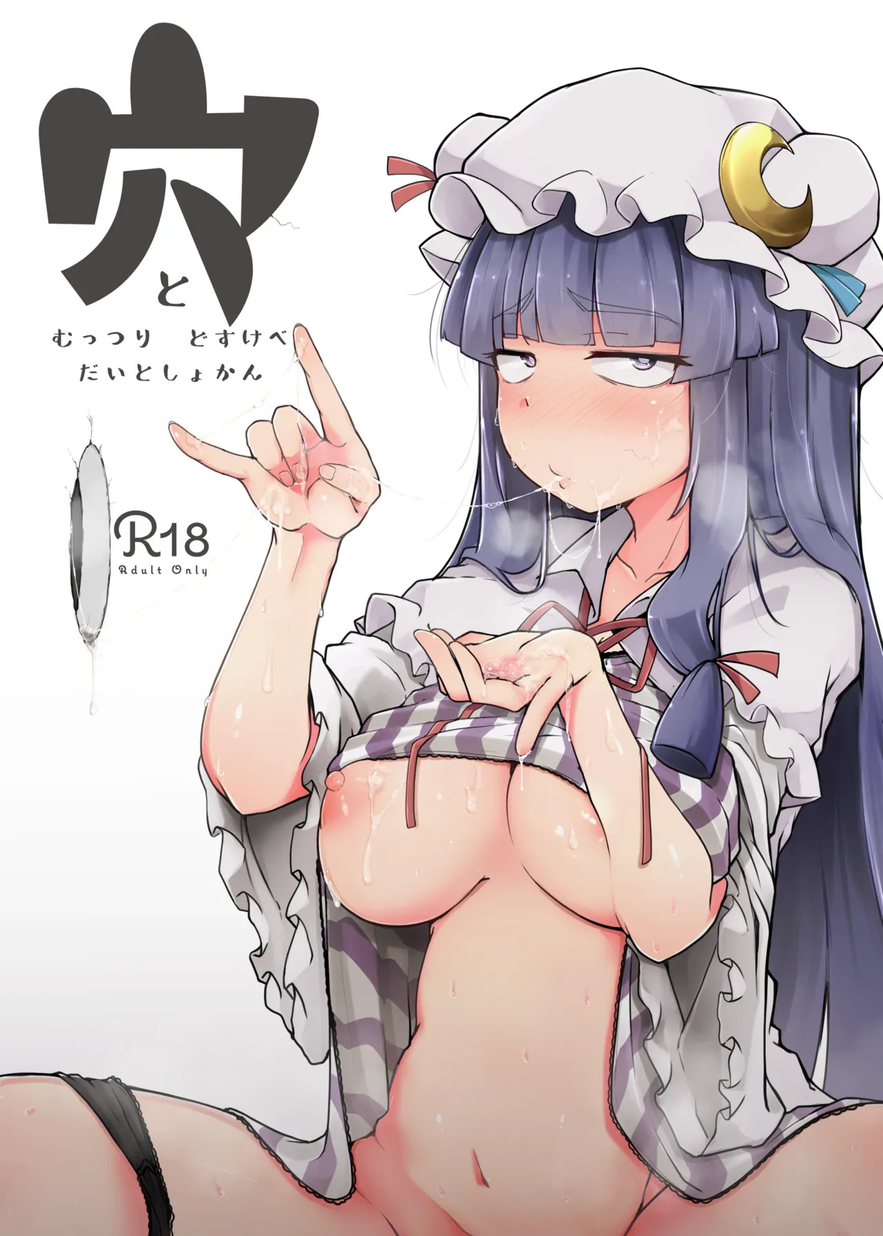 穴とむっつりどすけべだいとしょかん総集編│東方Project時間停止あらすじ&最安値