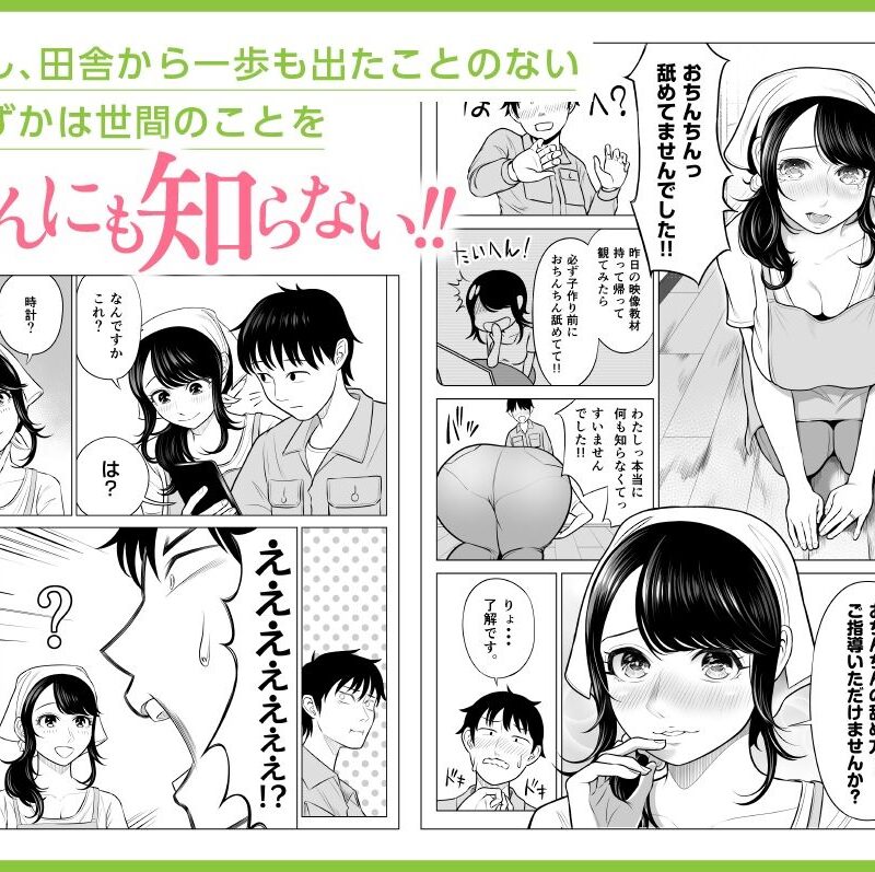 sample 5
