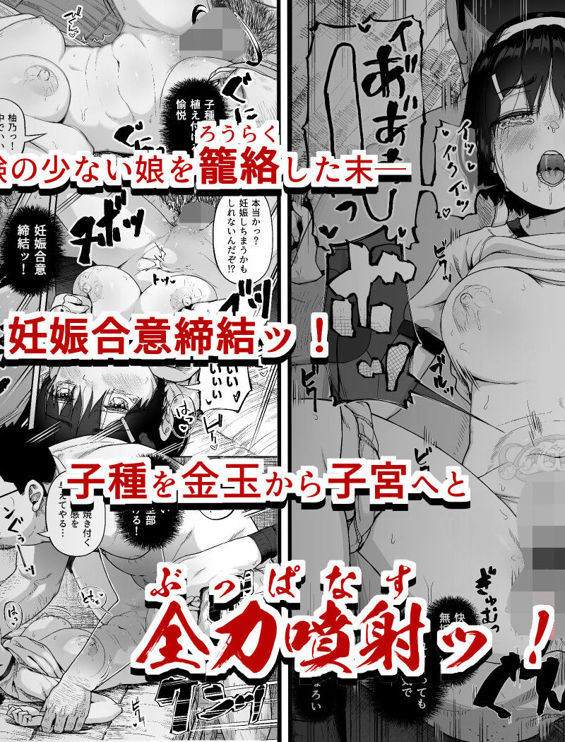 sample 8
