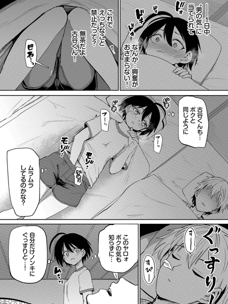 sample 5