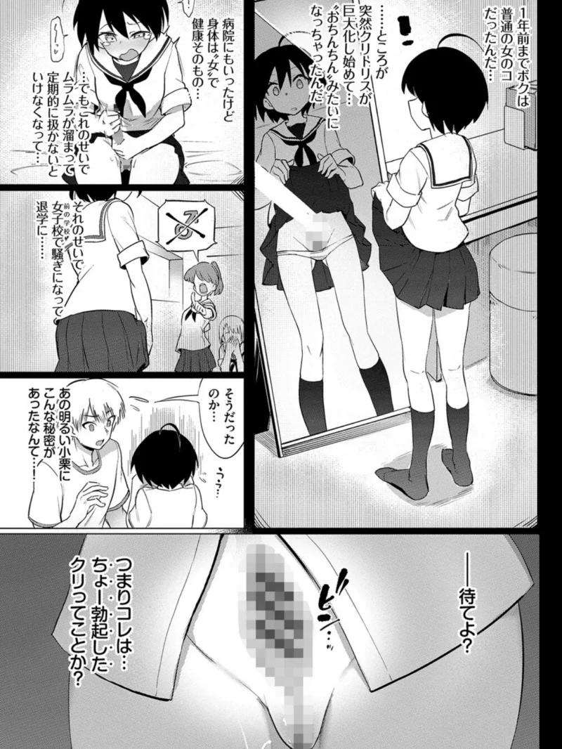 sample 6