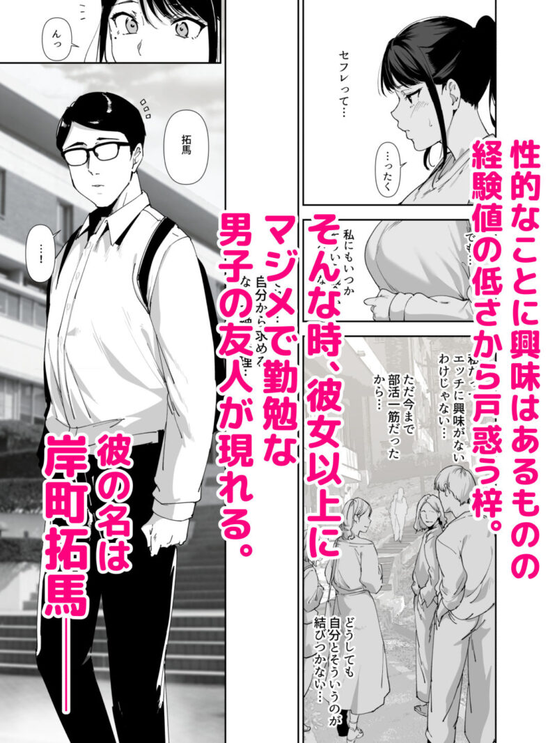 sample 5