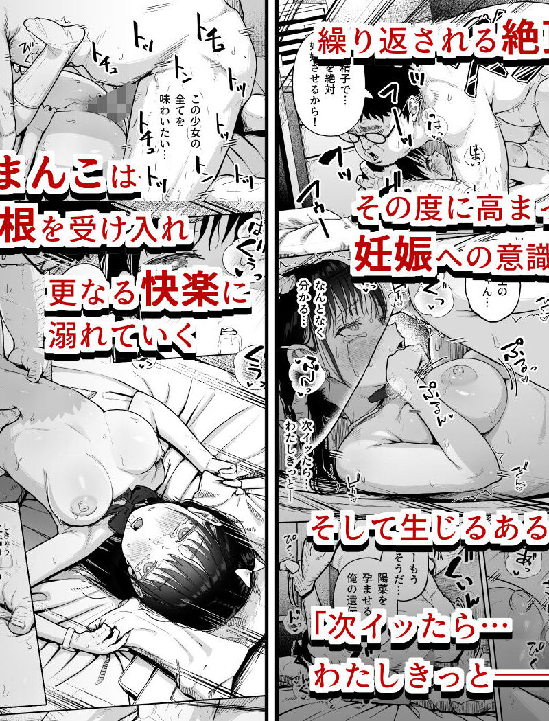 sample 6