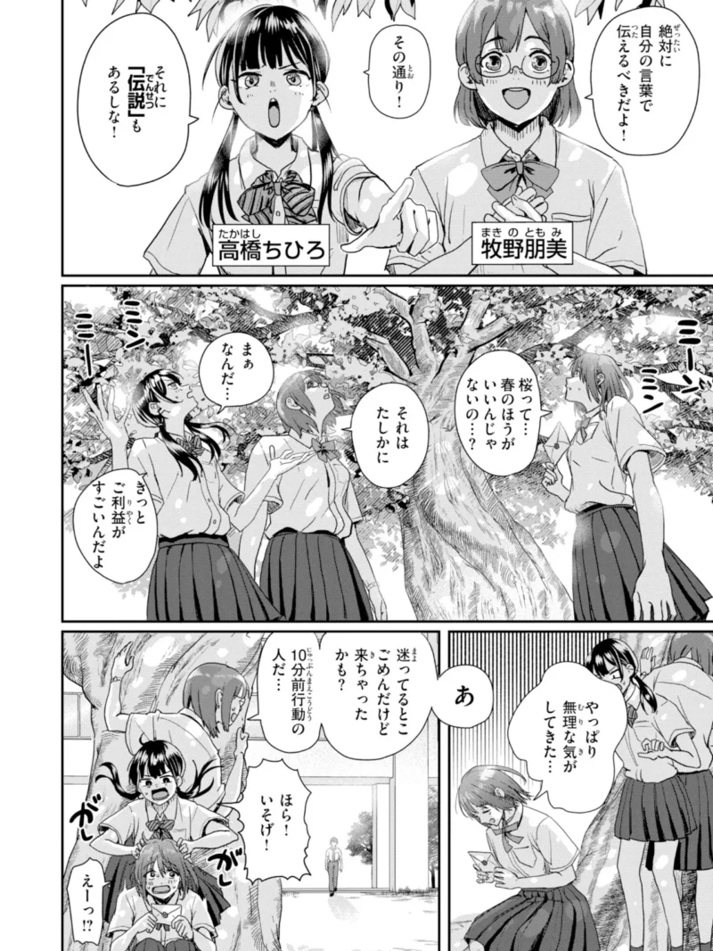 sample 33