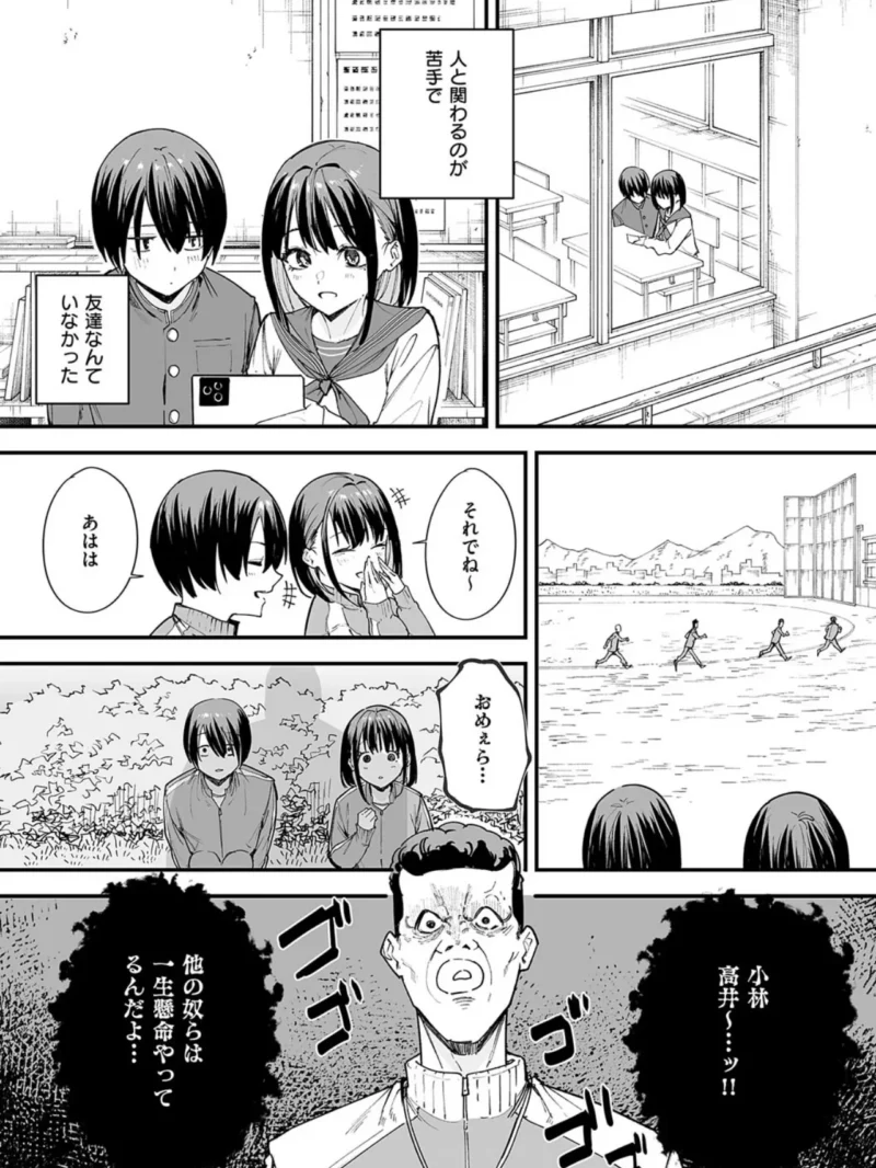 sample 5