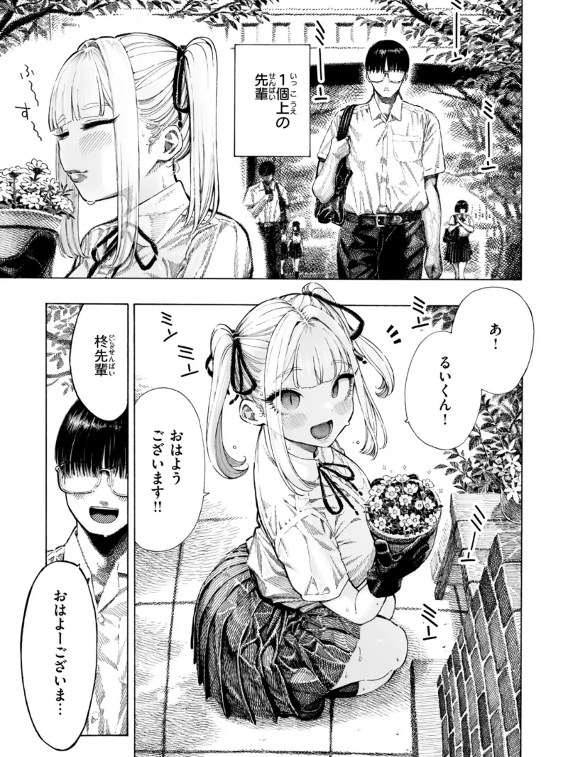 sample 5