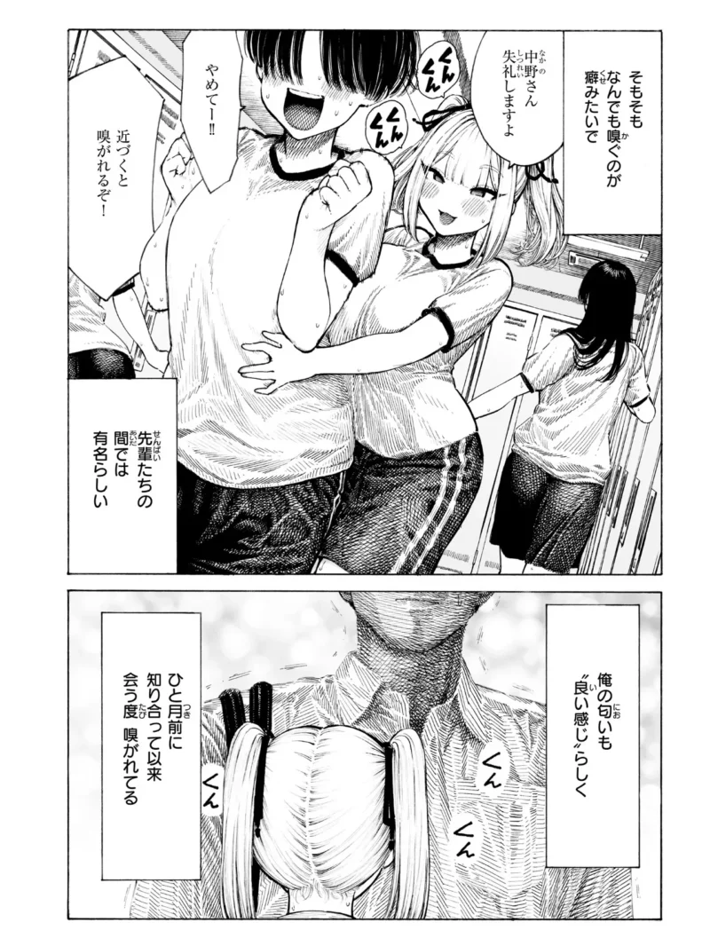 sample 8