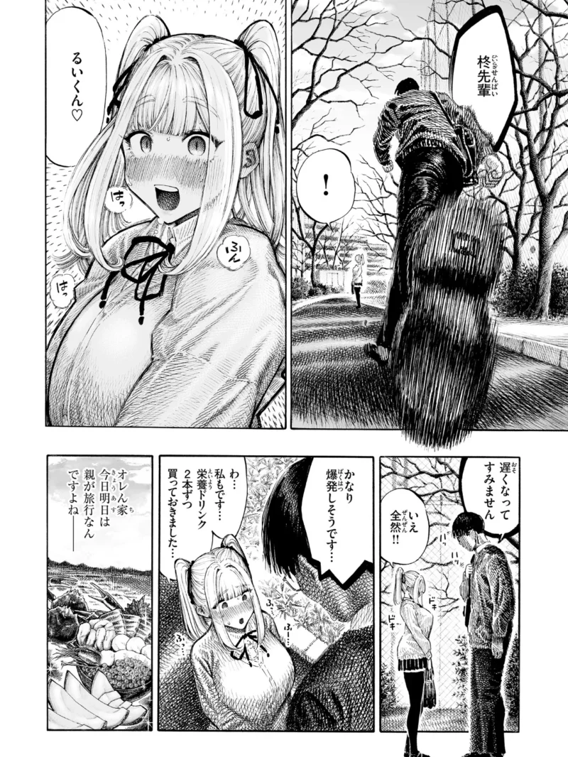 sample 12