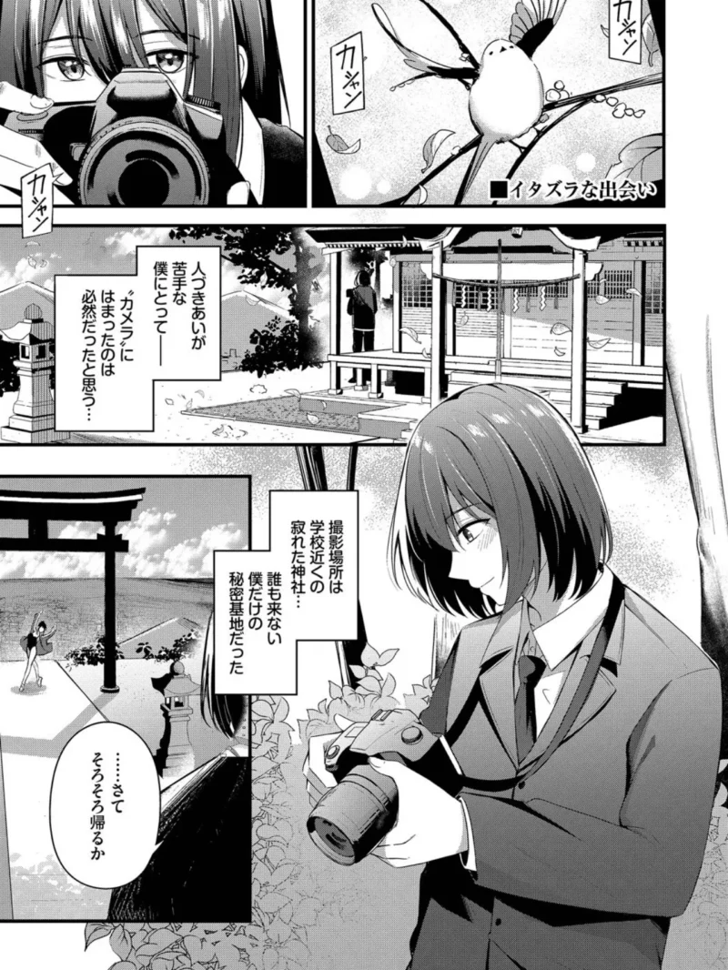 sample 32