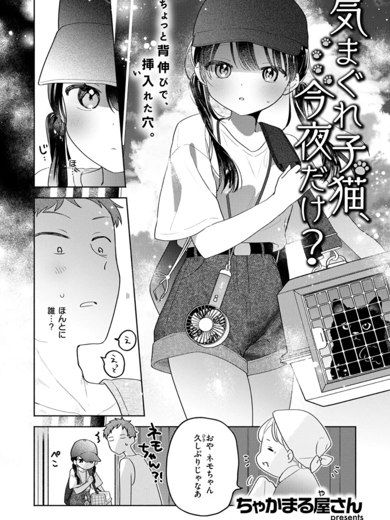 sample 4