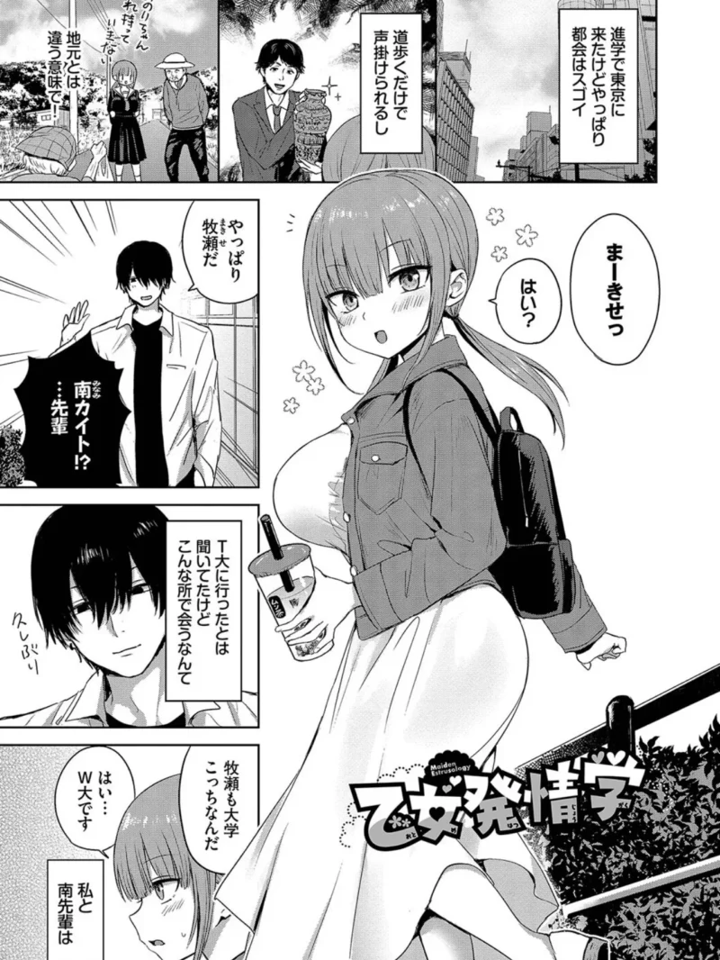 sample 28
