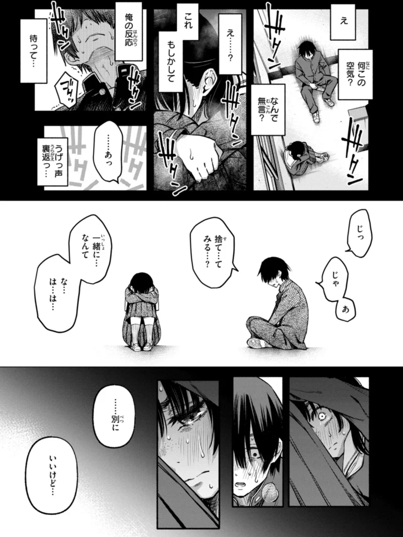 sample 13