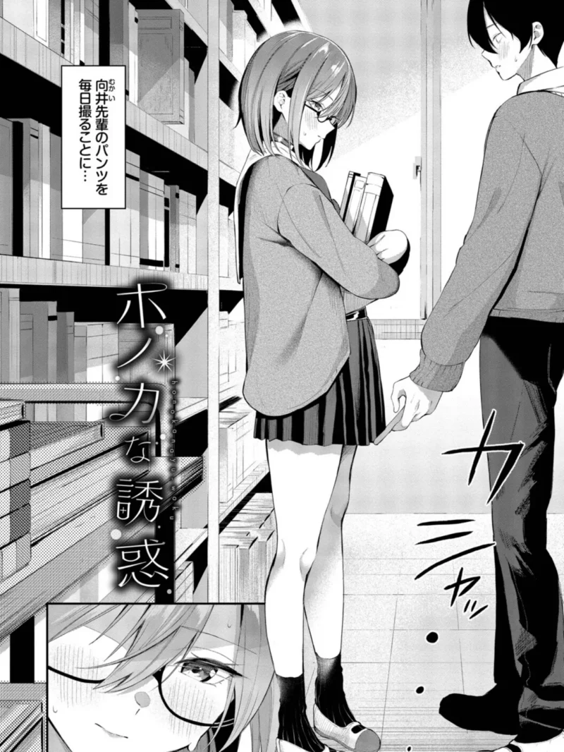 sample 29