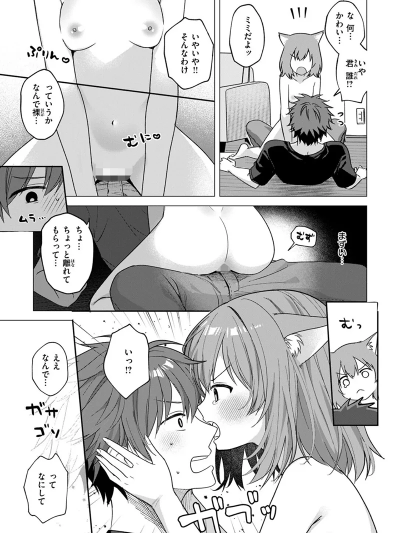 sample 61