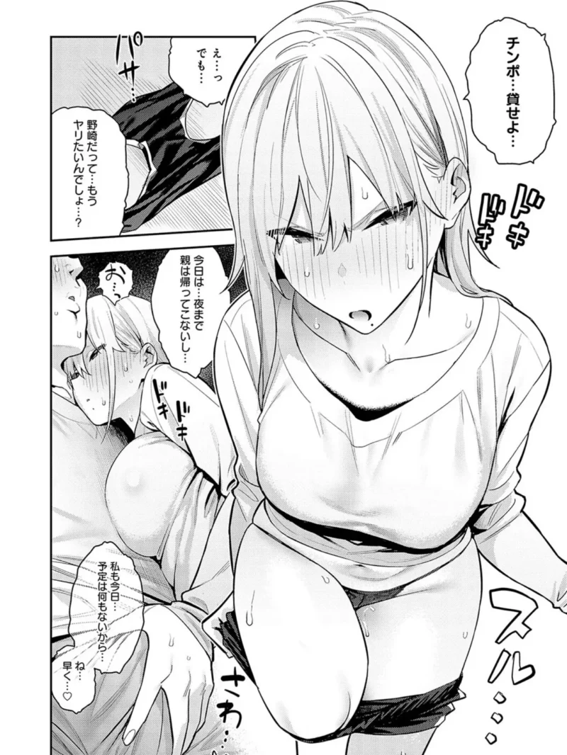 sample 13
