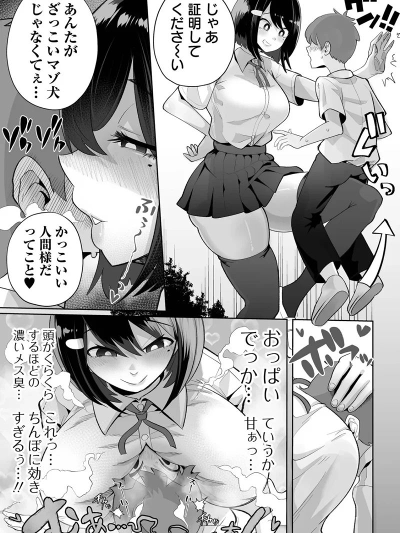 sample 5
