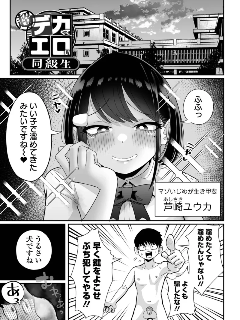 sample 12