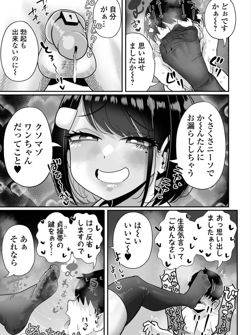 sample 13