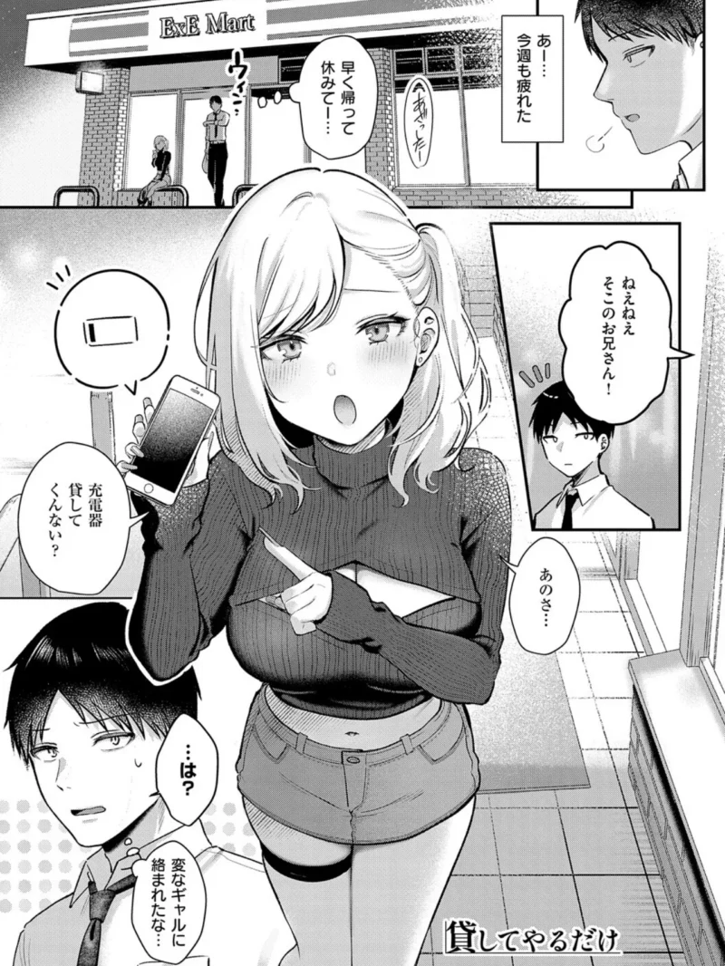 sample 13