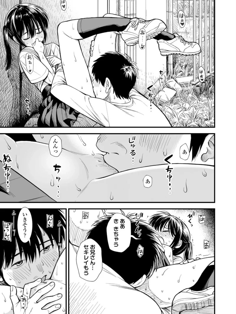 sample 17