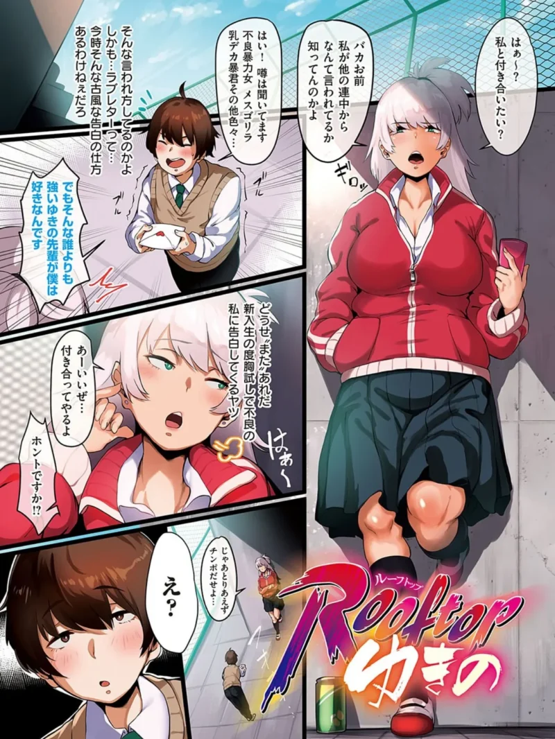 sample 17