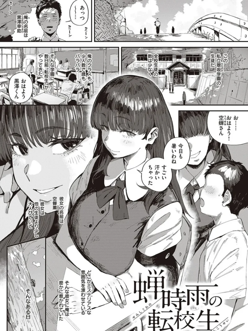 sample 20