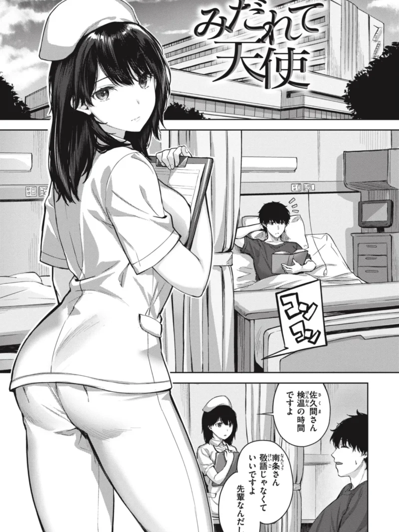 sample 13