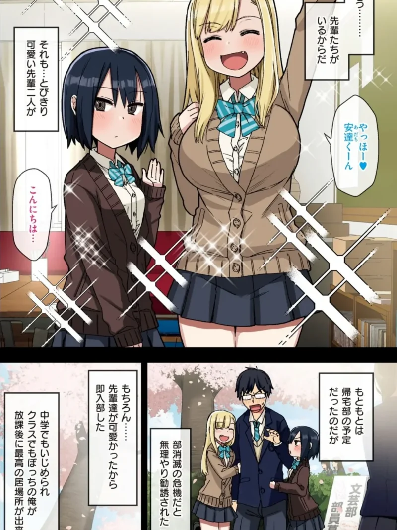 sample 4