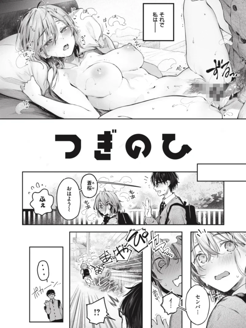 sample 13