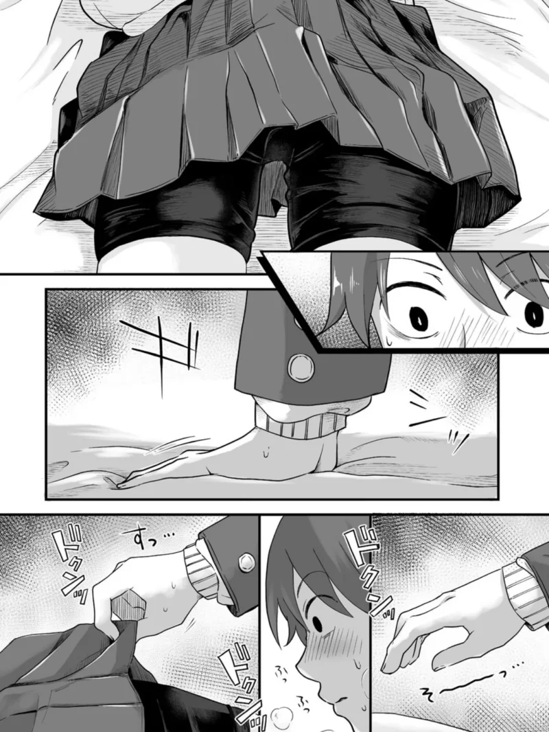 sample 13
