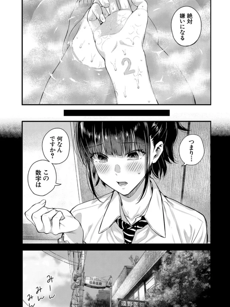 sample 17