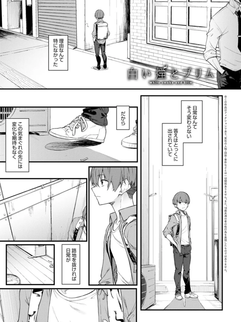 sample 24