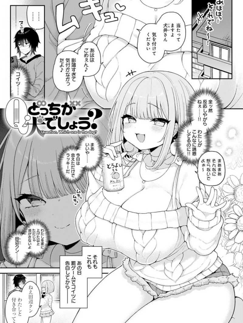 sample 19