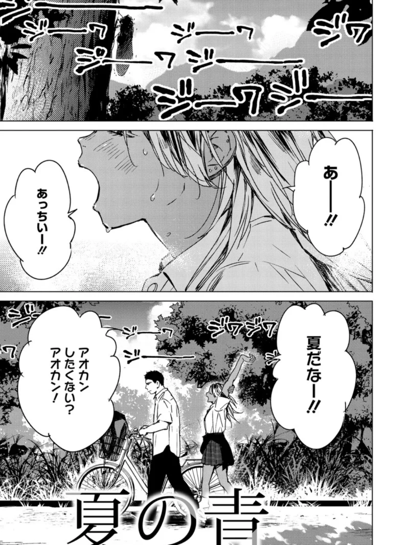 sample 15