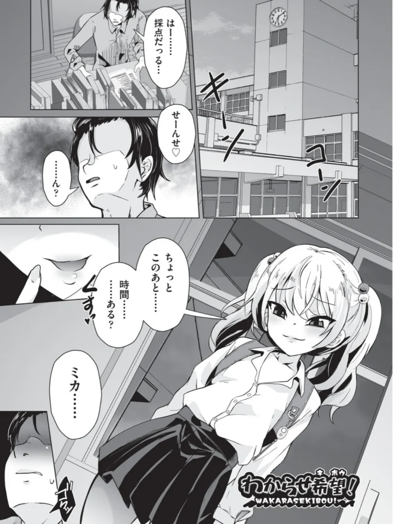 sample 4