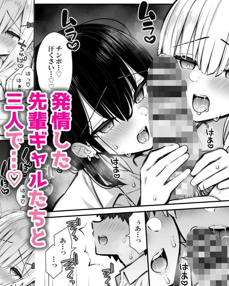 sample 5