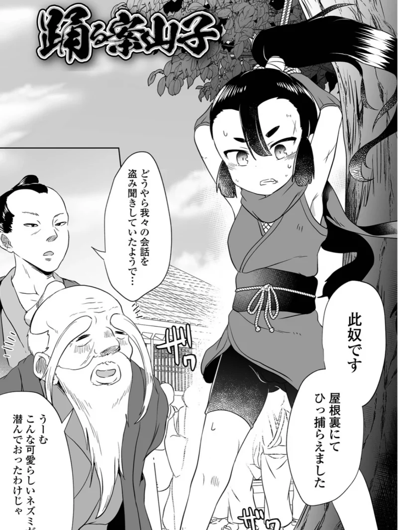 sample 16