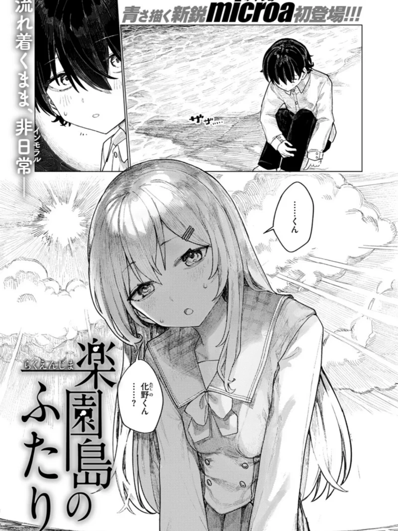 sample 2