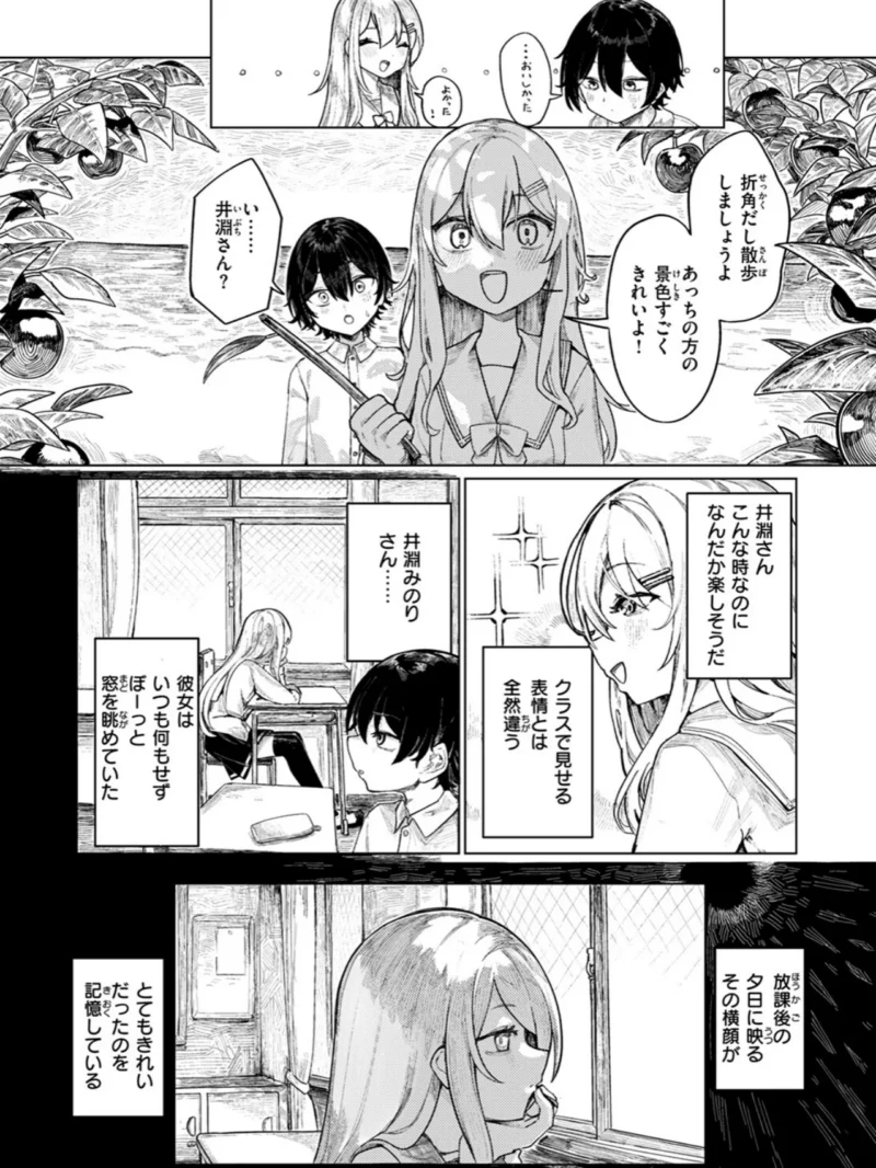 sample 4