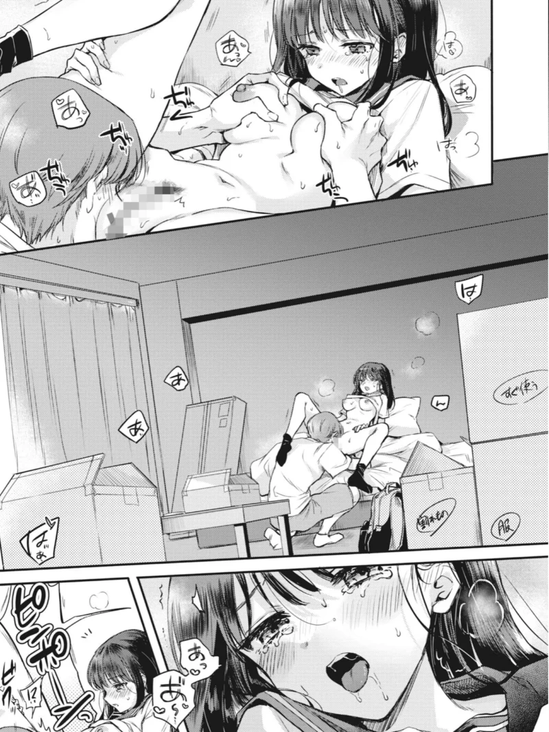 sample 11