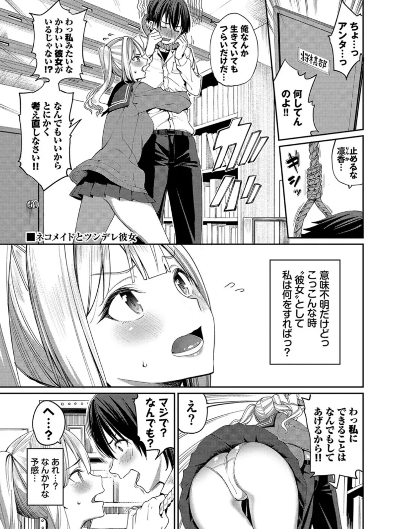 sample 31