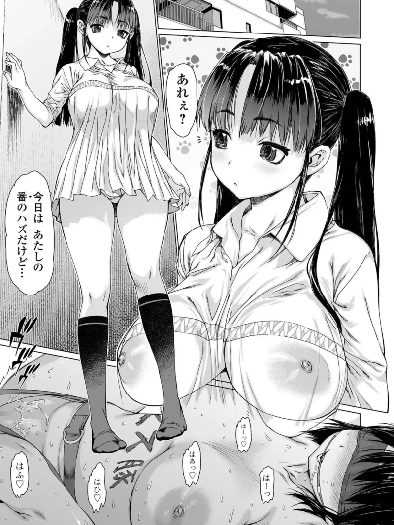 sample 26