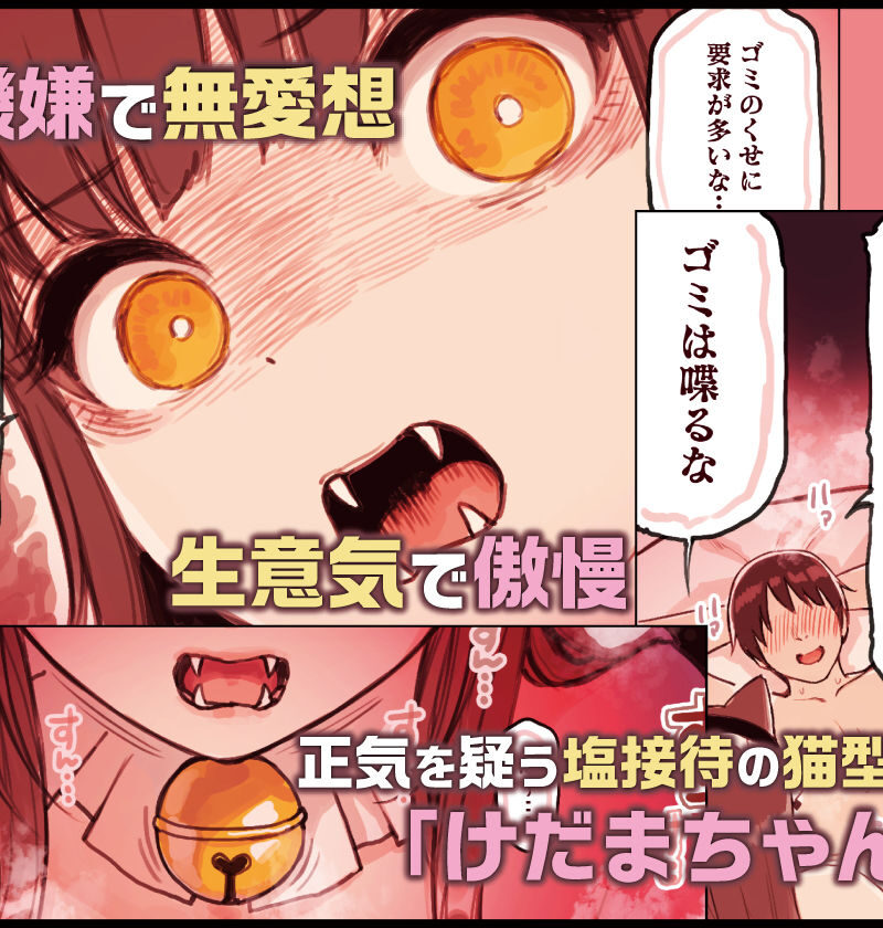 sample 4