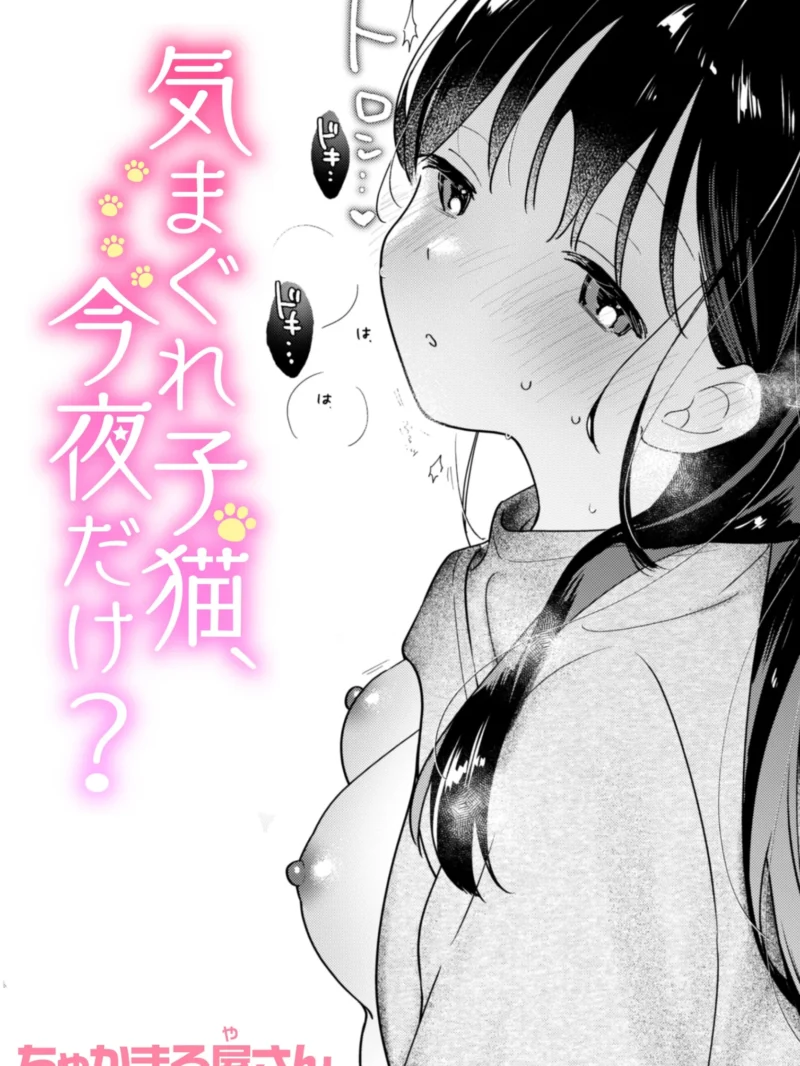 気まぐれ子猫、今夜だけ？ レビュー｜ちゃかまる屋さん新作の評価と感想【FANZA同人】