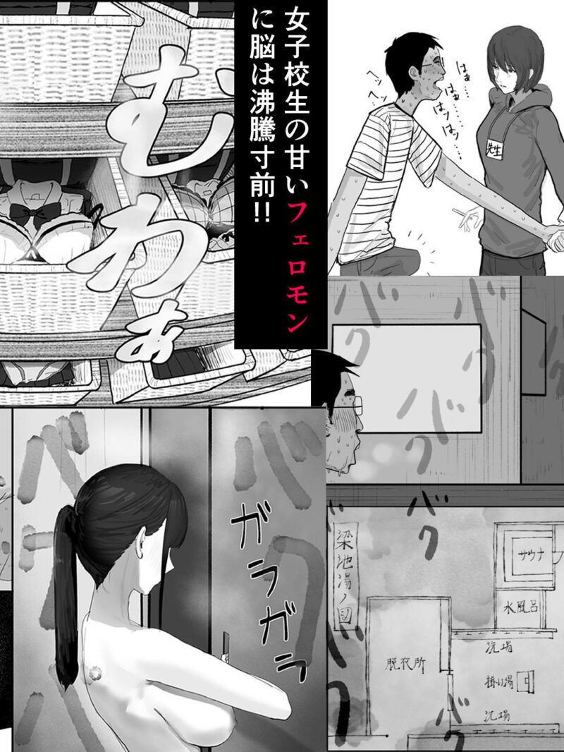 sample 5