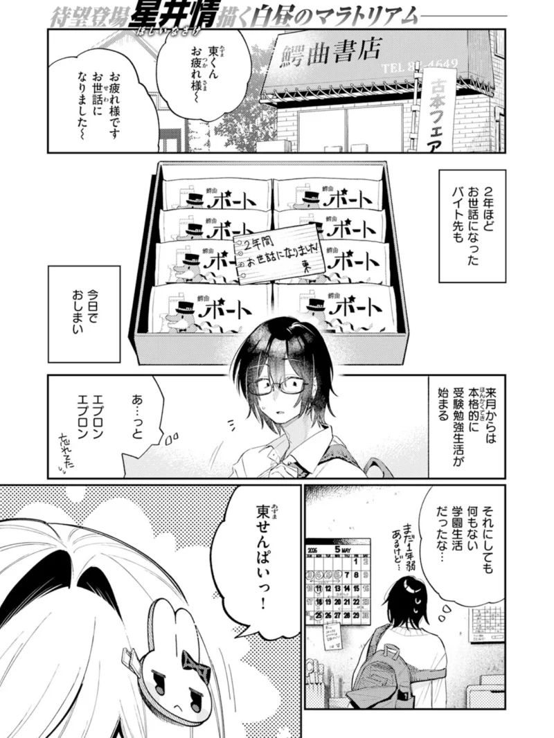 sample 27